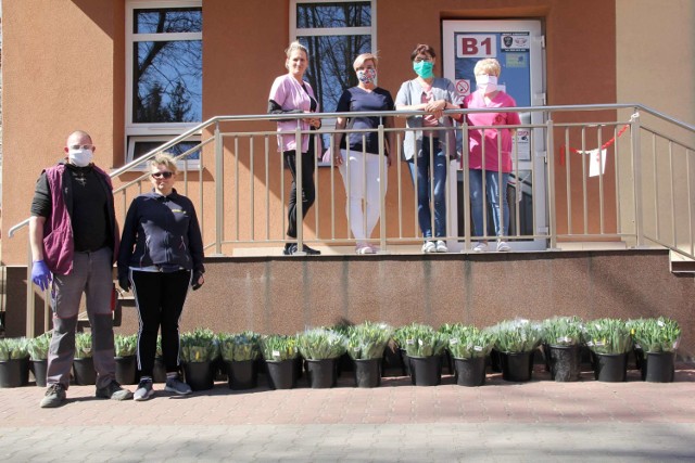 Hurtownia Ogrodnicza Bogdana Królika z Chrzypska Wielkiego dostarczyła dziś do Szpitala Powiatowego w Międzychodzie kwiaty dla pracowników (9.04.2020).