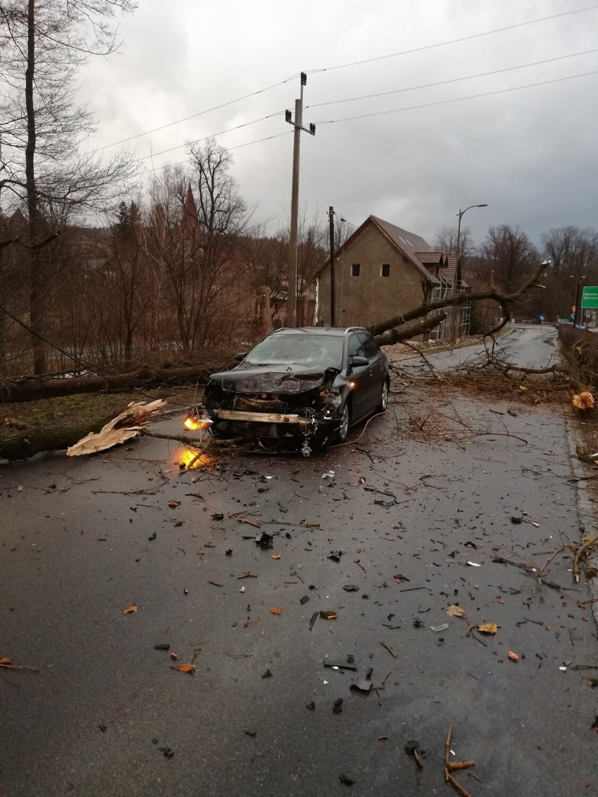Stronie Śląskie: drzewo spadło na samochód przy ul....
