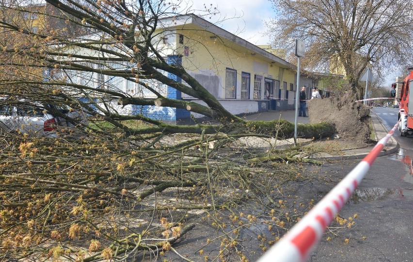 Wichura w Łodzi. Cyklon Stefan