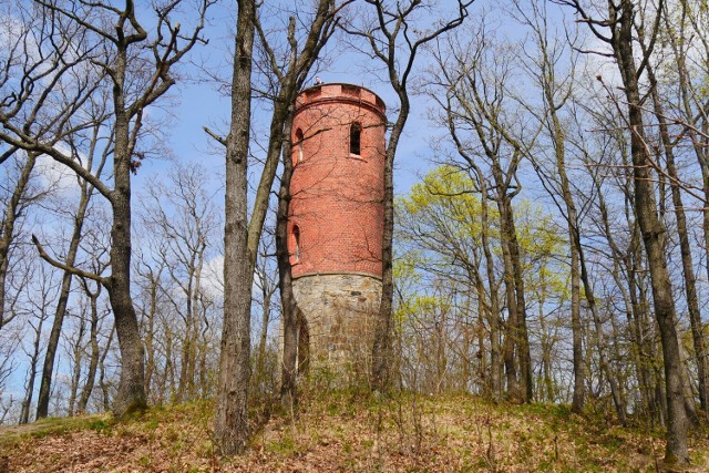 Wieża widokowa Radogost. Pomysł na weekendową wycieczkę z Legnicy