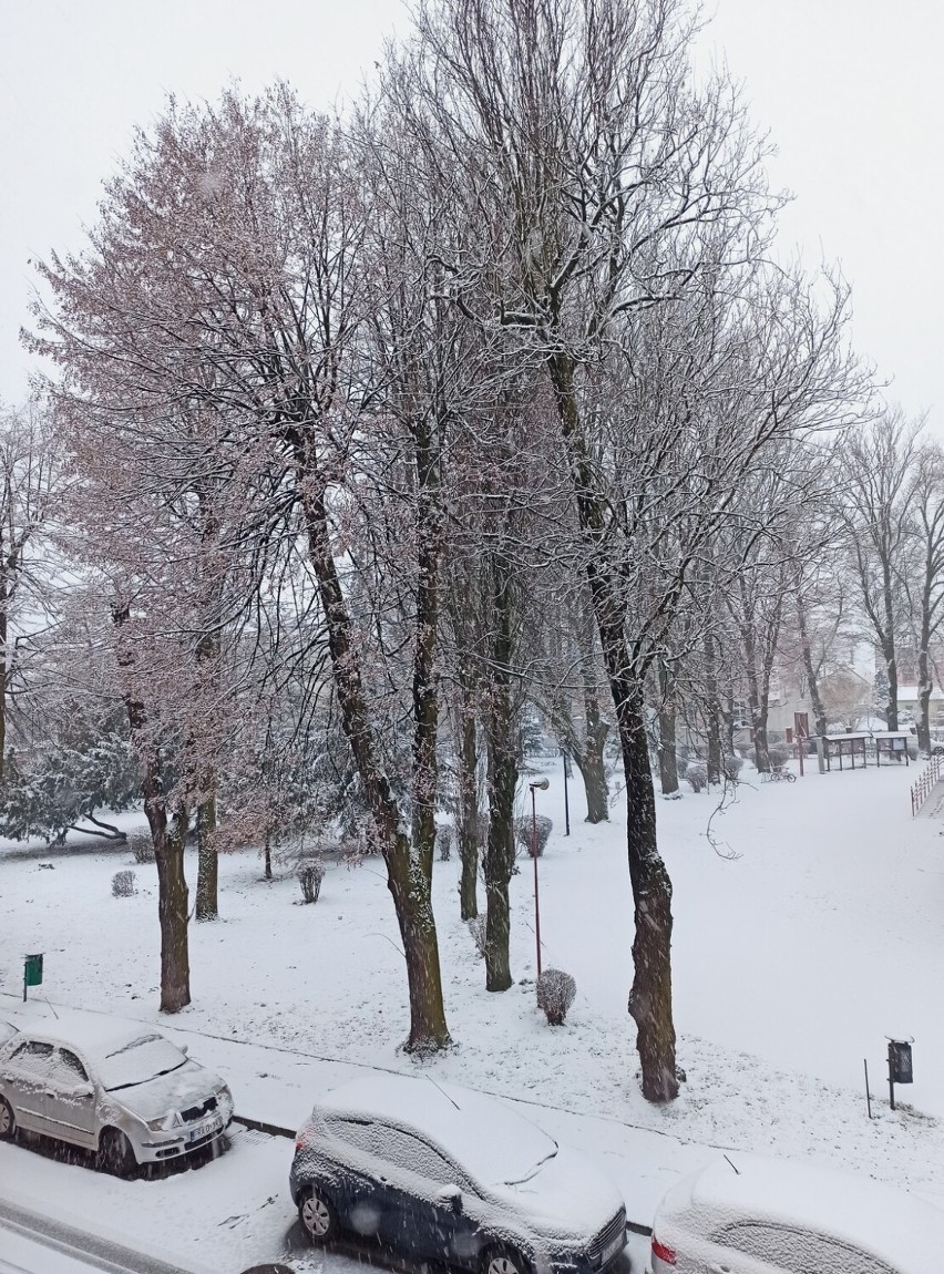 Zima w Rawiczu - 03.02.2023