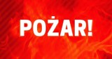 Pożar samochodu pod Estakadą Kwiatkowskiego w Gdyni 9.01.2022 r. Służby ustalają przyczynę