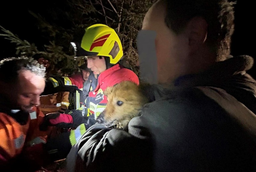 Strażacy uratowali psa. Zwierzę było w śmiertelnej pułapce