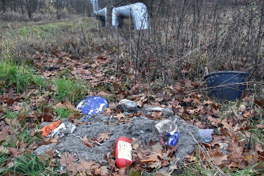 Kolejne dzikie wysypisko w Legnicy, zobaczcie zdjęcia jak "śmieciarze" segregują odpady