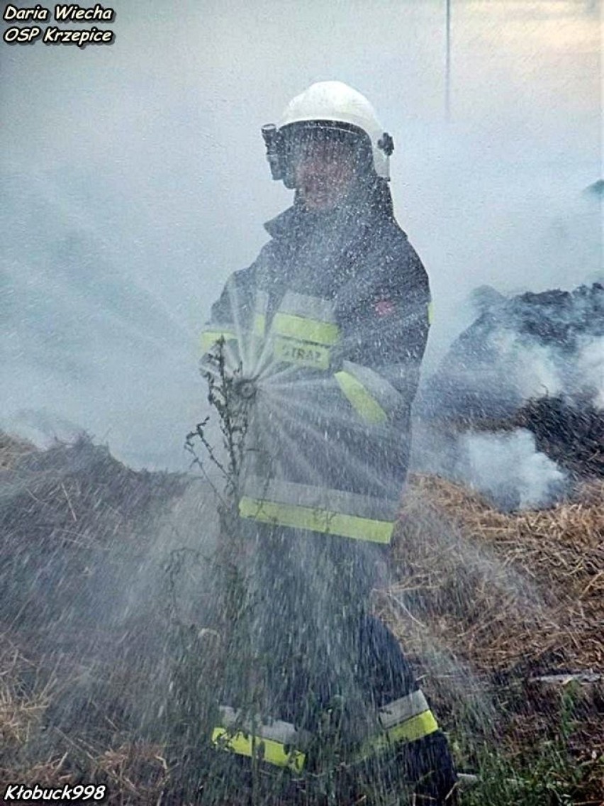 Pożar na polu w Krzepicach. To było podpalenie [FOTO]