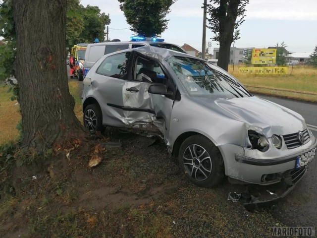 Pogotowie ratunkowe udzieliło pomocy jednej osobie. Na szczęście nikomu nic poważnego się nie stało.