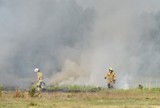 Gmina Gniezno. Pożar traw w Strzyżewie Paczkowym [FOTO]