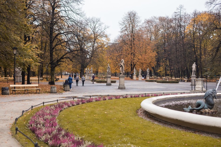 Jesień płata nam figla! Jest pochmurno i dżdżysto, ale wciąż klimatycznie! [ZDJĘCIA]