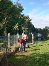 Stowarzyszenie Ogrodowe „Jelonek” w Wieluniu posadziło 100 drzew dzięki dofinansowaniu od samorządu województwa łódzkiego FOTO