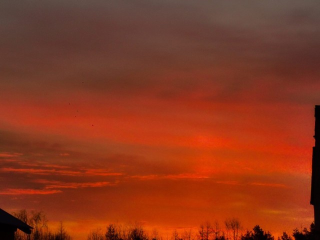 Nie trzeba ruszać na drugi koniec świata, aby zobaczyć wyjątkowy wschód słońca. Anna Nidecka sfotografowała kolorowe niebo w powiecie kościerskim!