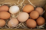 Cena jajek wiejskich. Ile kosztują kurze, przepiórcze i strusie prosto z gospodarstwa rolnego jesienią 2023?
