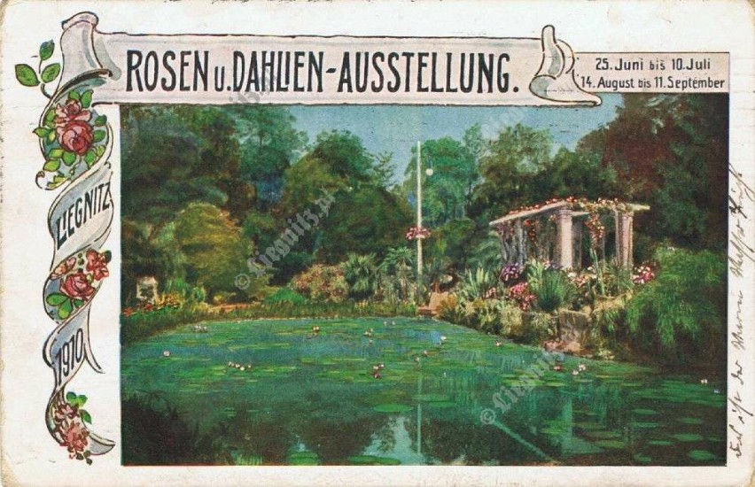 Oficjalna karta pocztowa z z wystawy Róż i Dalii. Widok...
