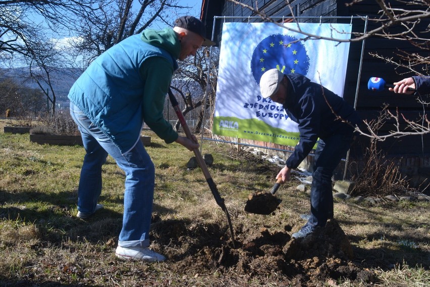 Bielsko-Biała: Drzewa Zjednoczonej Europy. Ruszyła nowa akcja Fundacji Arka [ZDJĘCIA]