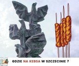 Najlepszy kebab w Szczecinie według mieszkańców. Szczecinianie polecają , gdzie zjeść prawdziwego kebaba [RANKING 2022] 