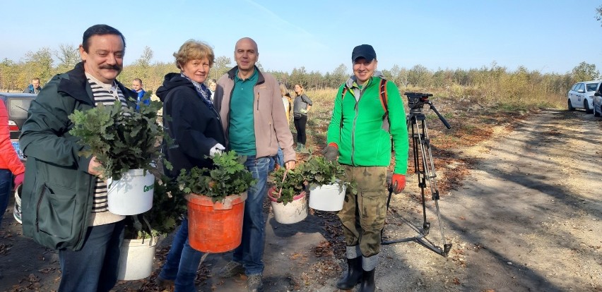Pracownicy opolskiego sanepidu ruszyli do lasu sadzić drzewka. Zobacz zdjęcia 