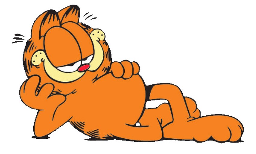 Garfield -  popularny komiks stworzony przez Jima Davisa,...