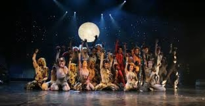 Cats -  musical skomponowany przez Andrew Lloyda Webbera na...