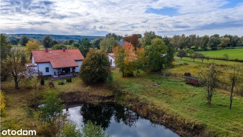 SOSNÓWKA, POWIAT GRUDZIĄDZKI...