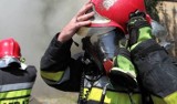 W Radomiu palił się budynek gospodarczy przy ulicy Perzanowskiej, strażacy ugasili pożar