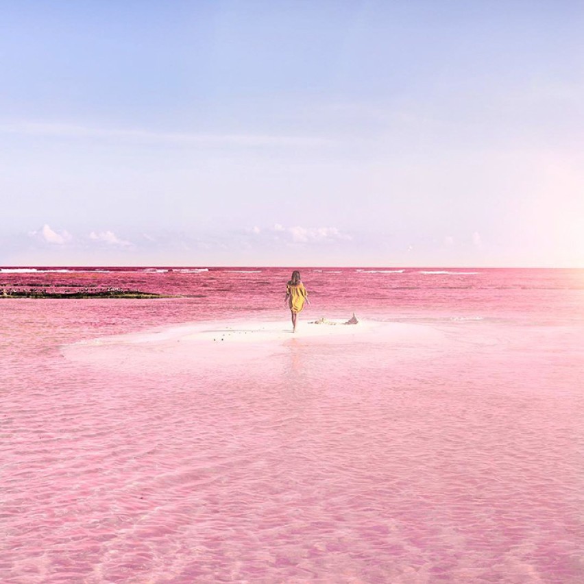Did you know about las Coloradas in Yucatan ? Me neither