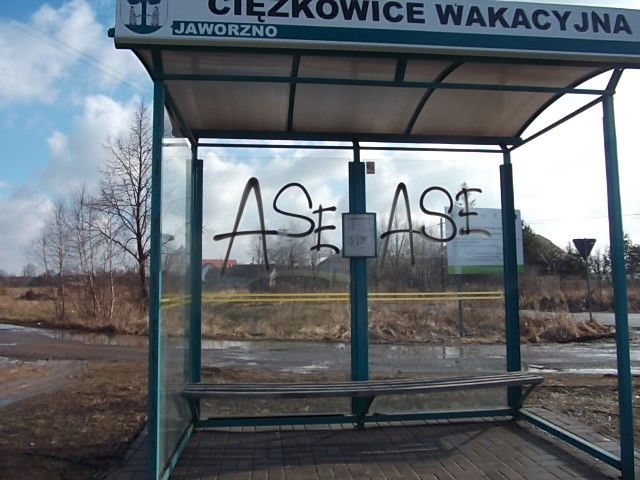 KRÓTKO: W Jaworznie czyścili wiaty przystankowe z napisów i graffiti [ZDJĘCIA]