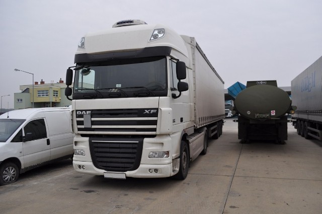 Pogranicznicy zatrzymali 50-latka z Ukrainy. Mężczyzna chciał wyjechać z Polski kradzioną ciężarówką DAF.