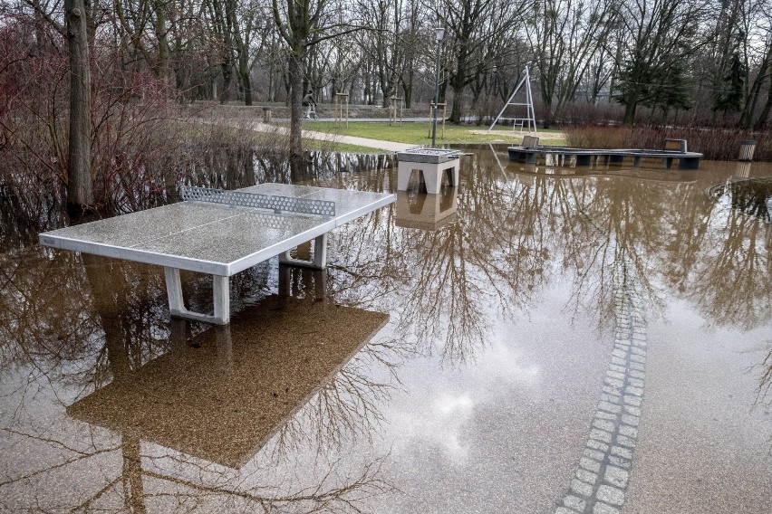 Park Wodziczki w Poznaniu znowu pod wodą. Zalany jest plac...