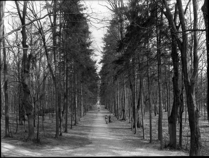 Tak kiedyś wyglądał Park Ujazdowski w Zgorzelcu. Wiedzieliście o jego istnieniu? 