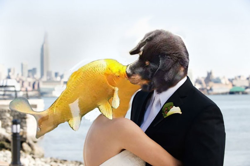 Szczeniak pocałował rybę, a potem wziął z nią ślub. Zobacz...
