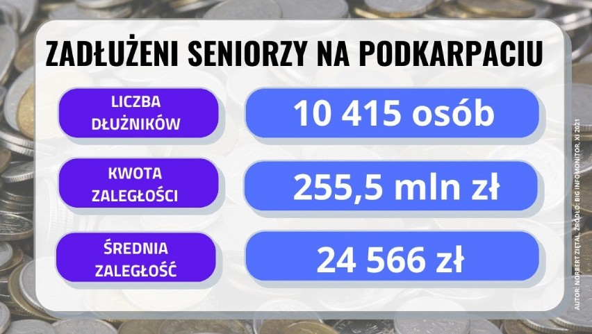 Zadłużeni seniorzy w województwie podkarpackim.