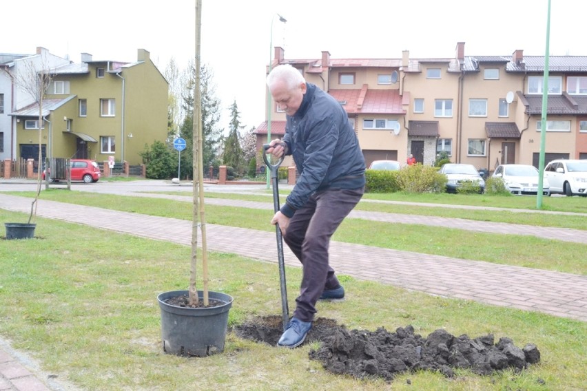 Tczew: wspólnie z prezydentem zasadzono drzewka i kwiaty [ZOBACZ ZDJĘCIA]