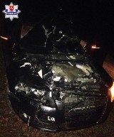 Ulów: 37-letni kierowca zderzył się z jeleniem. Zwierzę nie przeżyło