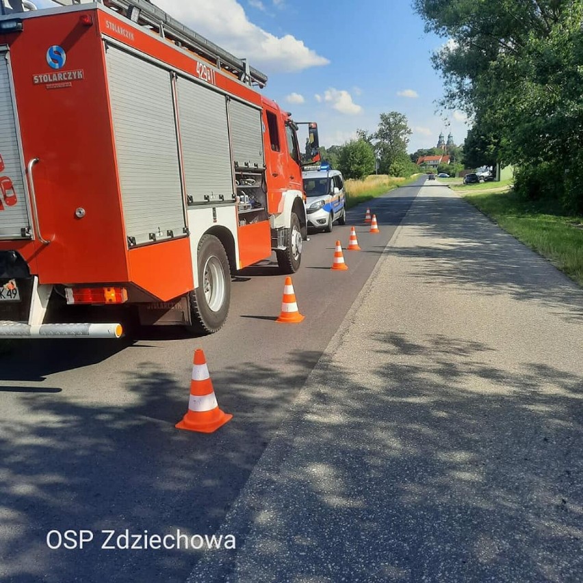 Gniezno. Strażacy pomogli w wyciągnięciu małego jelonka ze studzienki