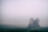 Pogoda w woj. lubelskim. Przed nami mglista i deszczowa środa (WIDEO) 