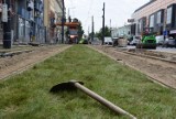 Częstochowa: Rozpoczęto układanie zielonego torowiska tramwajowego - ZDJĘCIA. Będzie ono na odcinku pomiędzy aleją NMP a Jasngórską 