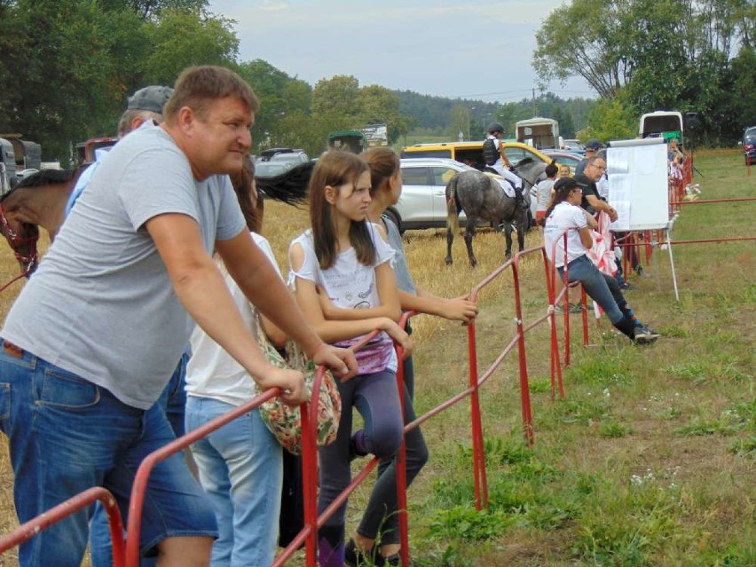 Towarzyskie Zawody w Skokach Przez Przeszkody Milcz 2019