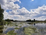 Głogów: Odra wciąż przekracza stan alarmowy. Czarna zalewa okoliczne łąki. ZDJĘCIA