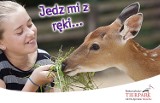Nasze Zoo Goerlitz Zgorzelec zaprasza do zwiedzania