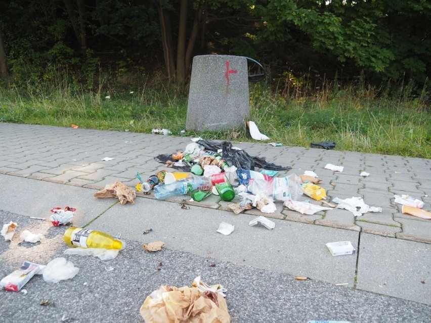 Łódź: ścieżkę rowerową i chodnik przy ul. Rokicińskiej przez...