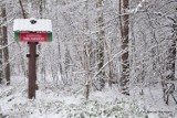 Zimowa sceneria w Kampinowskim Parku Narodowym. Galeria