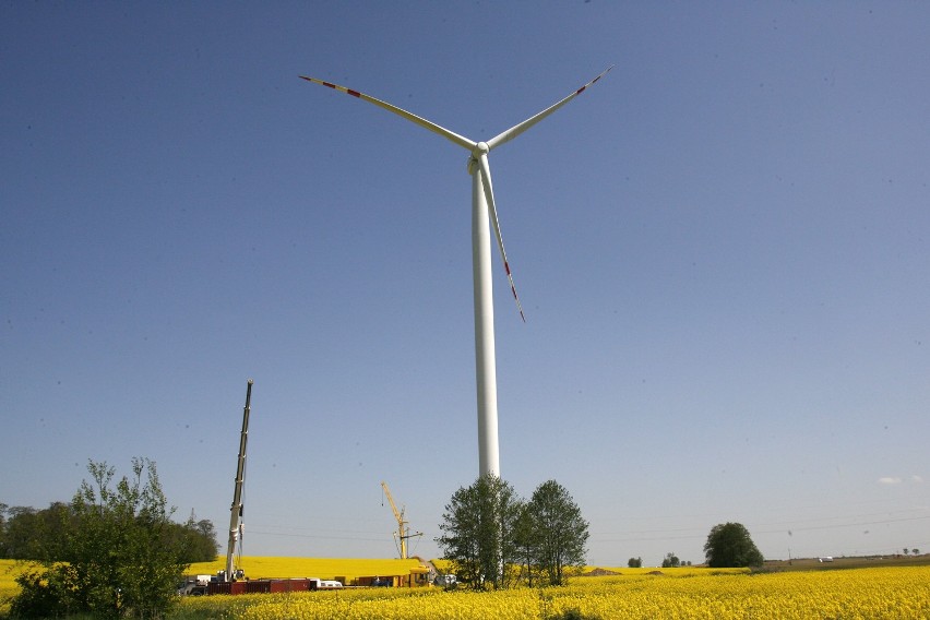 EWG Taczalin pod Legnicą - Trwa budowa elektrowni wiatrowej