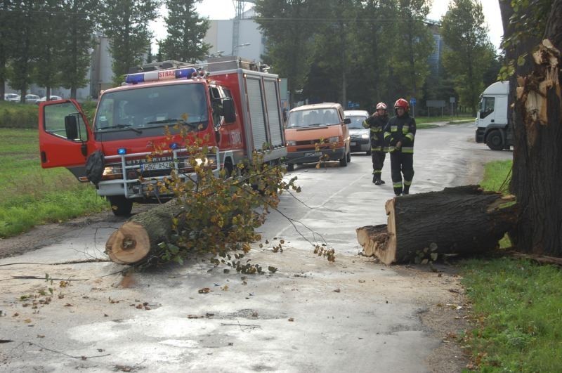 Złamane drzewo na drodze do Starego Targu