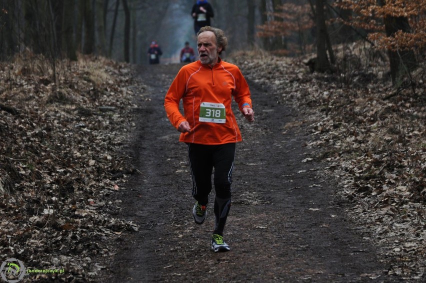 City Trail w Katowicach - zdjęcia z finałowego biegu [28 luty 2016]