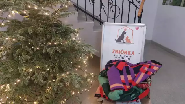 Zbiórka na rzecz zwierząt ze schroniska w Bolesławiu