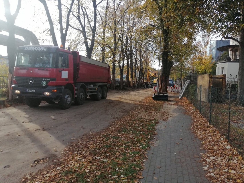 Nekrologi na drzewach przy ul. Zdrojowej w Kołobrzegu. Wniosek o wycinkę sięga setki 