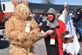 Powiat gnieźnieński. Pochód z niedźwiedziem przeszedł ulicami Czerniejewa. Była też baba i dziad! [FOTO]