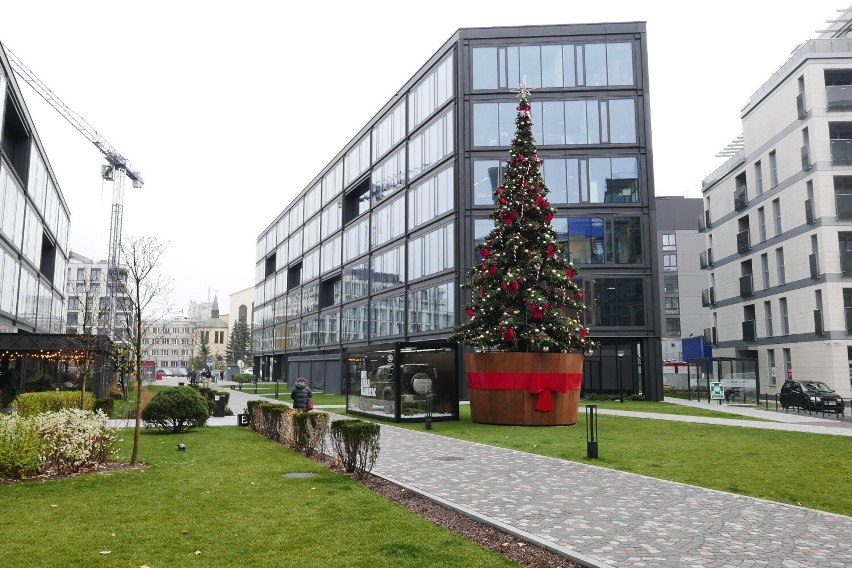 Pierwsza choinka w Warszawie już stoi. W Elektrowni Powiśle zagościł świąteczny nastrój