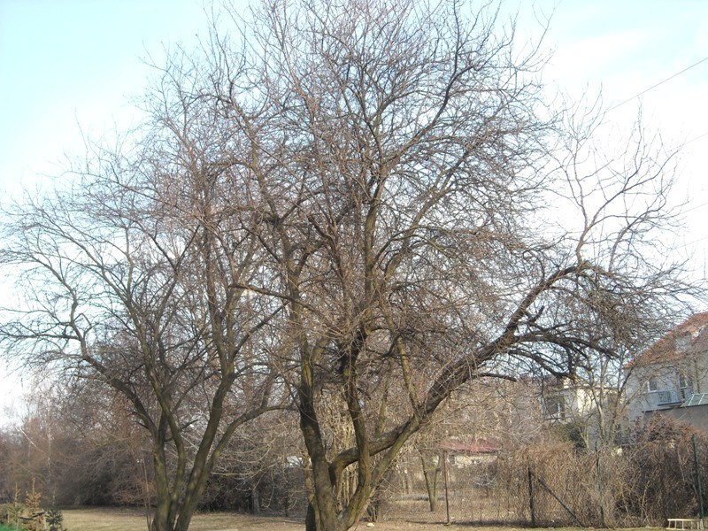 Nad Potokiem: Bunt mieszkańców w sprawie wycinki drzew [ZDJĘCIA]