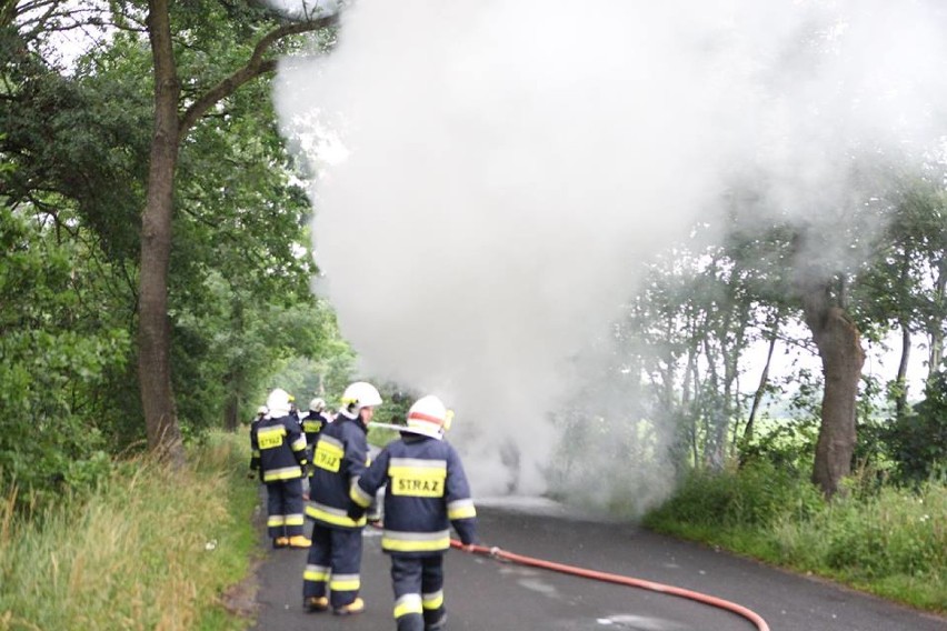 Gasili pożar auta na drodze Starkówiec-Kobylin [ZDJĘCIA]
