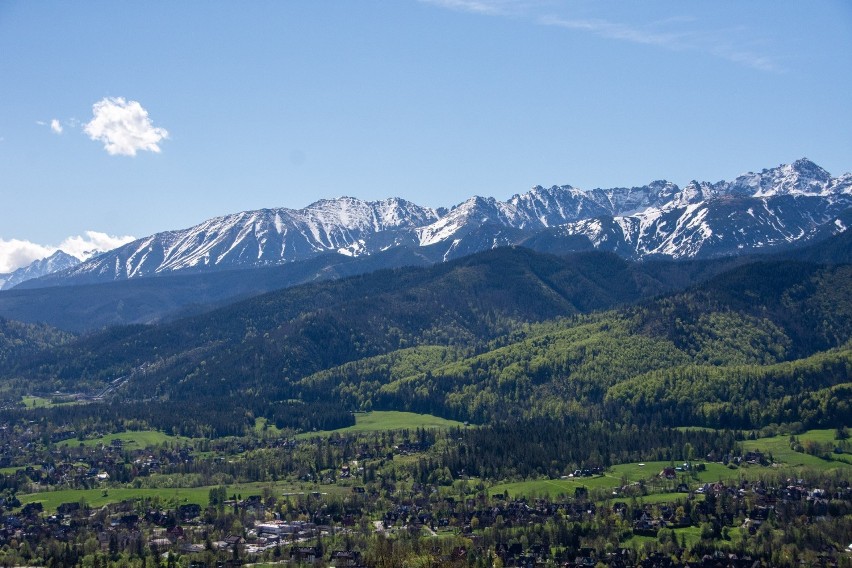 Zakopane. W końcu piękna pogoda w górach. Chmury zniknęły, pokazały się Tatry. Szkoda, że na jeden dzień...